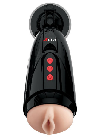 Dirty Talk Starter Stroker